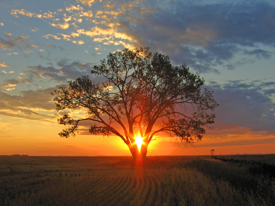 Scars and Our Salvation